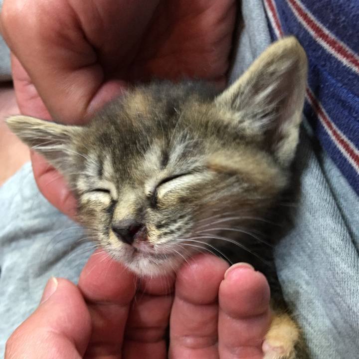 575faac5 4688 4481 914a bd85f488fa34