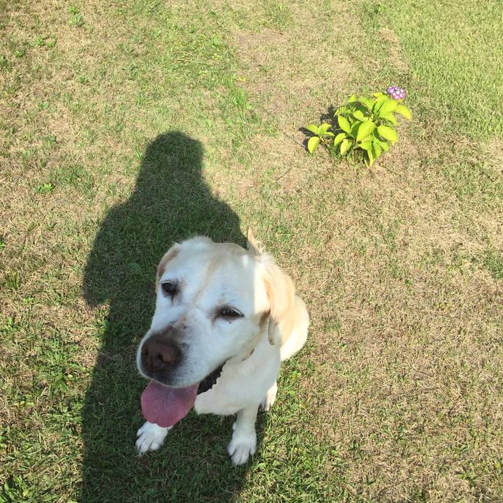 57607bf8 bad4 44b9 bcbf c8c6c1098073