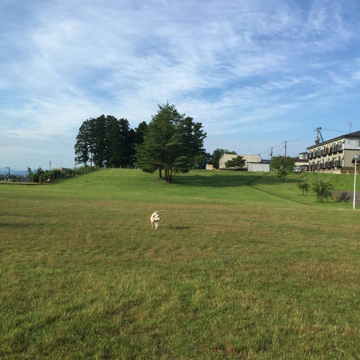 5760c208 02a1 4b46 a61a 71ebeb53421a