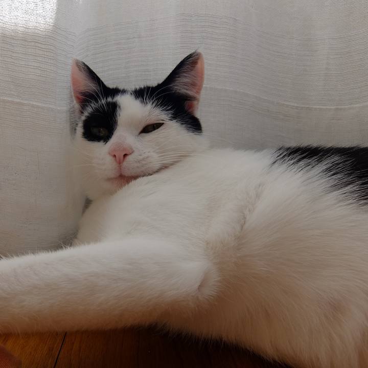 5760f9ca b848 4ca2 9a9f a1b579448d82