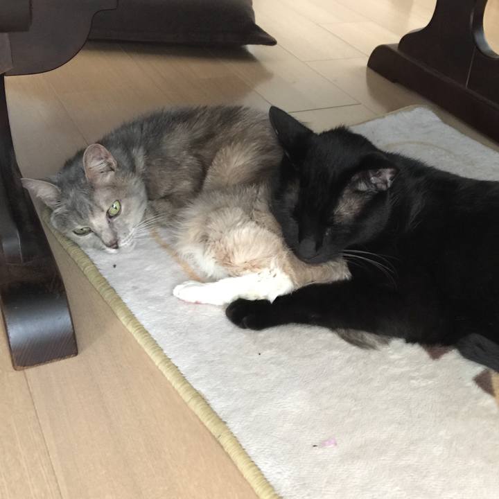 576112bf 8298 46dd 84a4 aea1e4925656