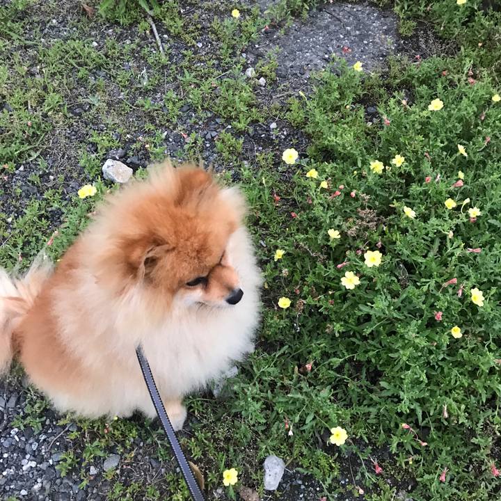 5761525a dfc5 403e 99f6 a2813e8eaed5