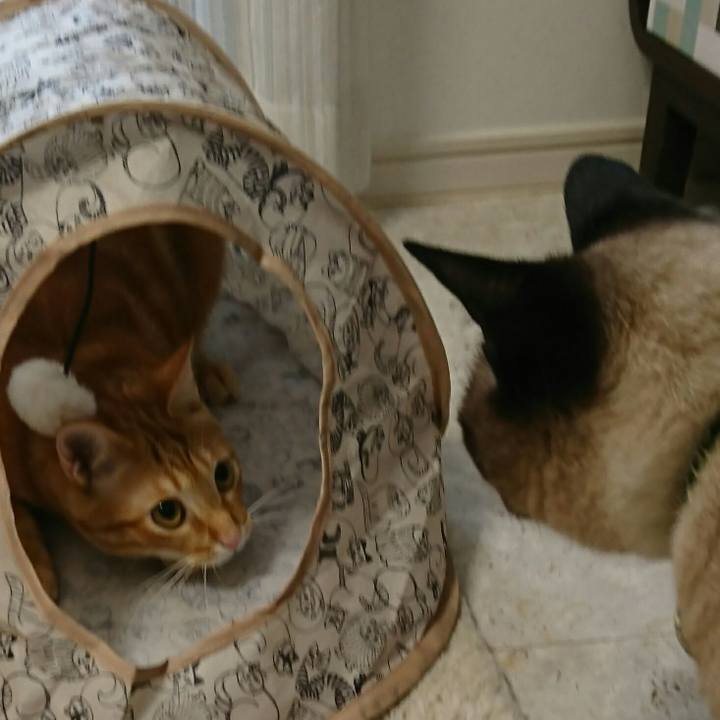 5761afad f16f 4d7b 81dc 52358ac5a18e