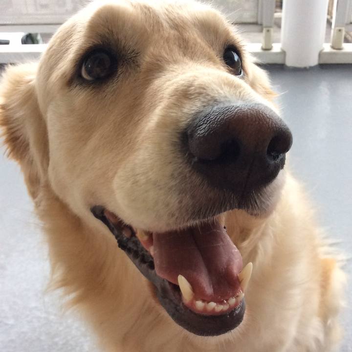 57631af2 63ad 43c2 bf12 df9ec3af4610