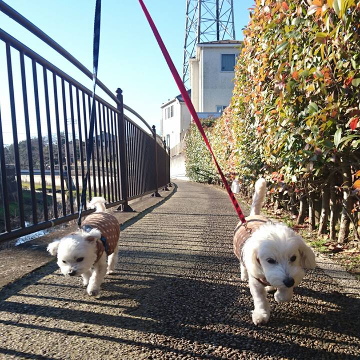 57636cf3 2724 4378 b972 49d1e6c8b7bb