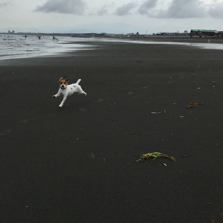 5763aa37 6c58 4615 ae0a 61bb5c26de15