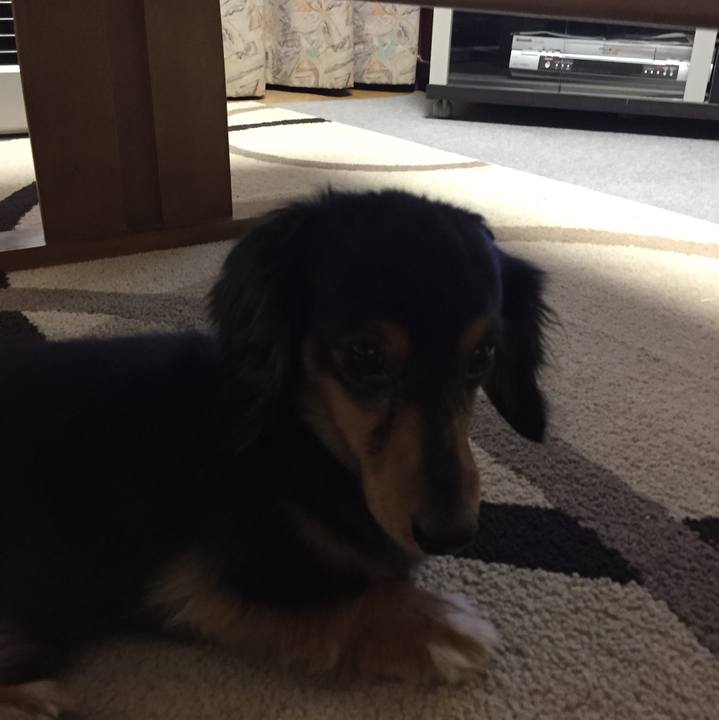 5763f607 fd3a 4bac 99fc e30c26662120