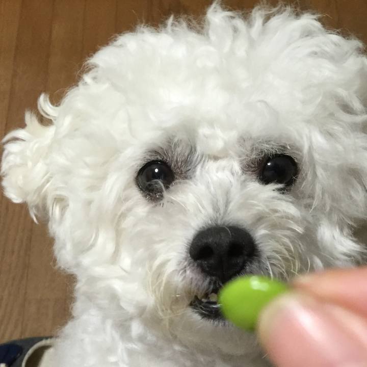 5764ffd4 11c4 469a 8d9e d09be39754d0