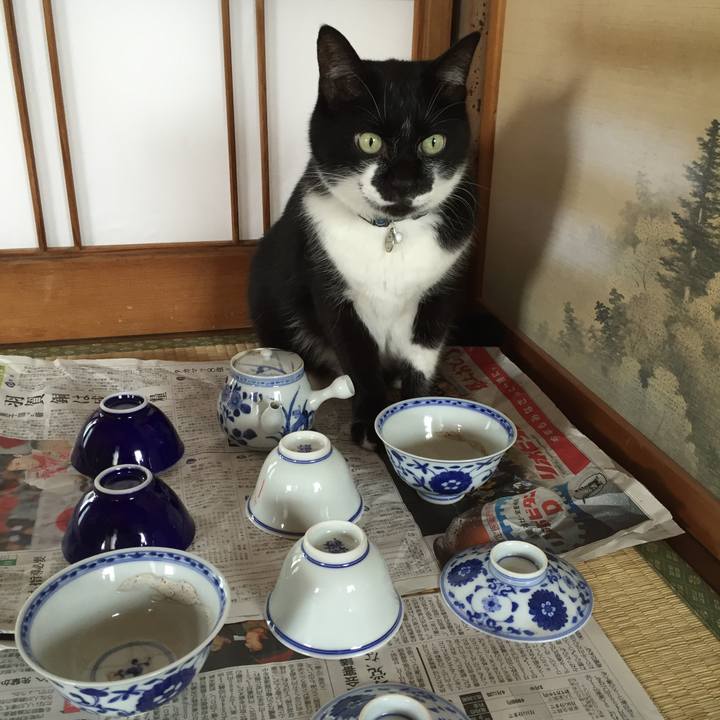 57666517 acb7 4c60 8b2f 2e81246461e7