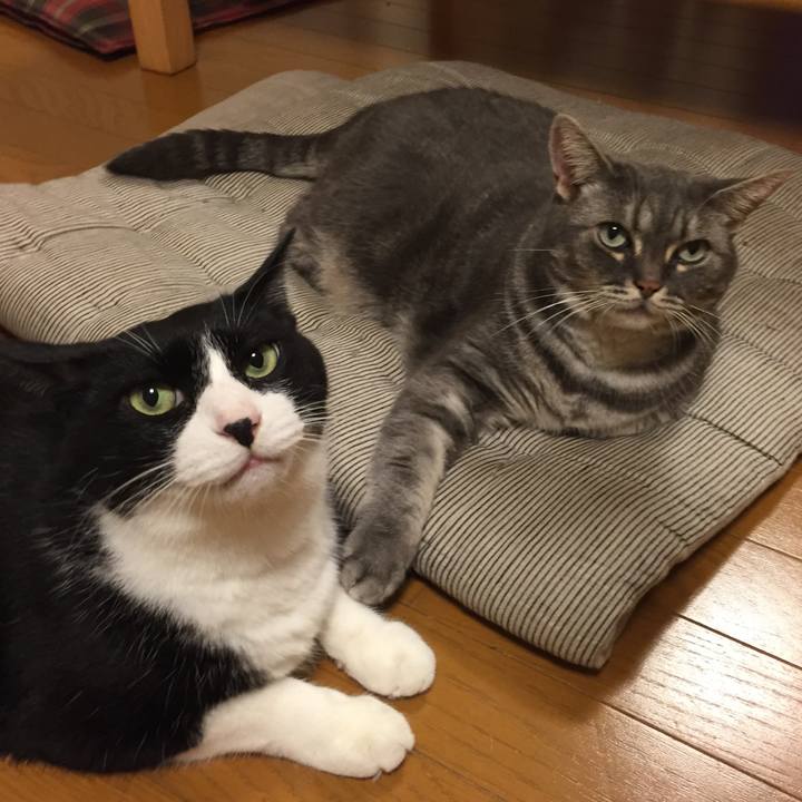 57677f63 ce60 46c3 8992 5f32d84a34ec