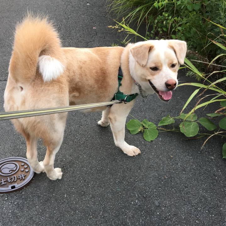 57688488 d5eb 4cb5 80a5 8c69a332abec