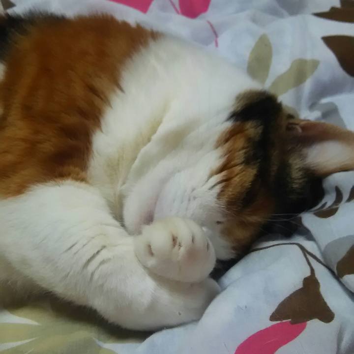 576952af 53b9 4212 ada4 79e2f5018c33