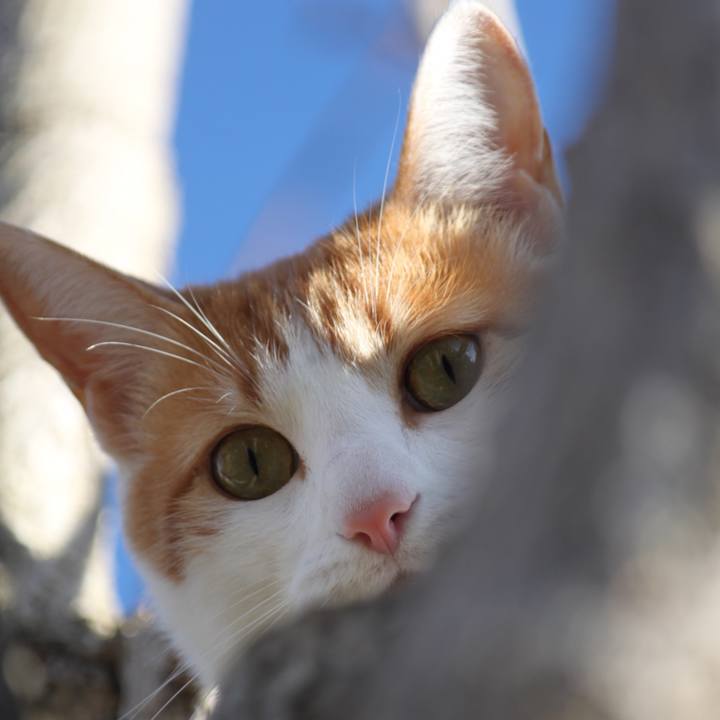 57696f70 63c9 4f6f a9a4 83b8902071df