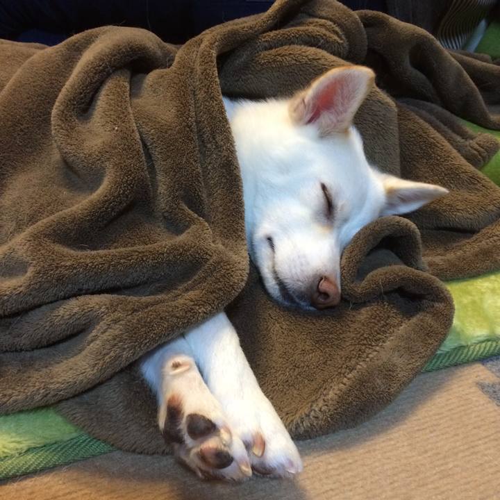 57698bda a98f 49b4 a70c 3ea4d76eb44b