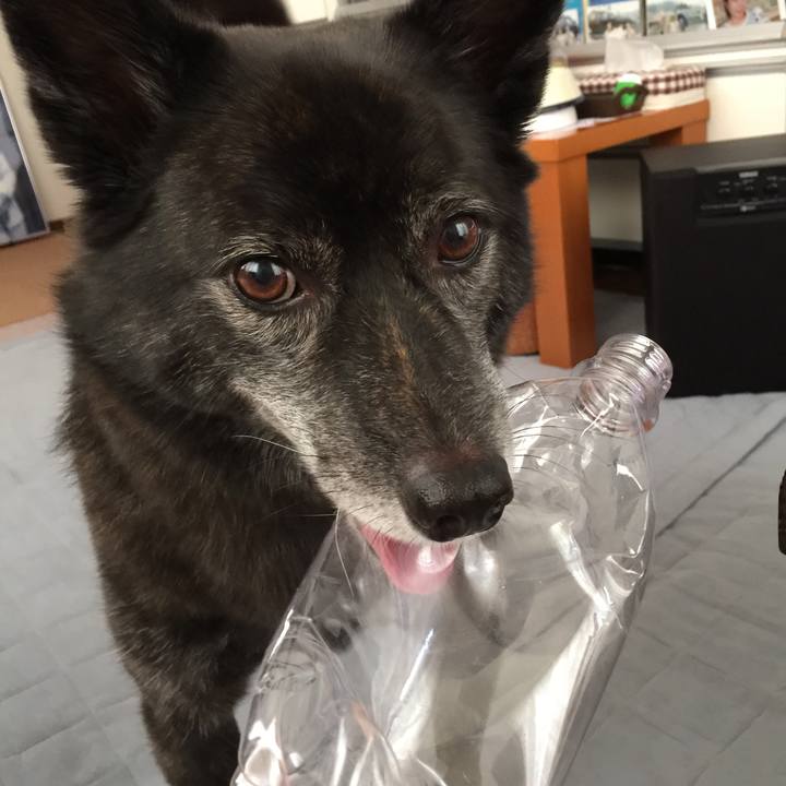 576a5fe5 54f7 48b8 9d6c f09aa34780cf