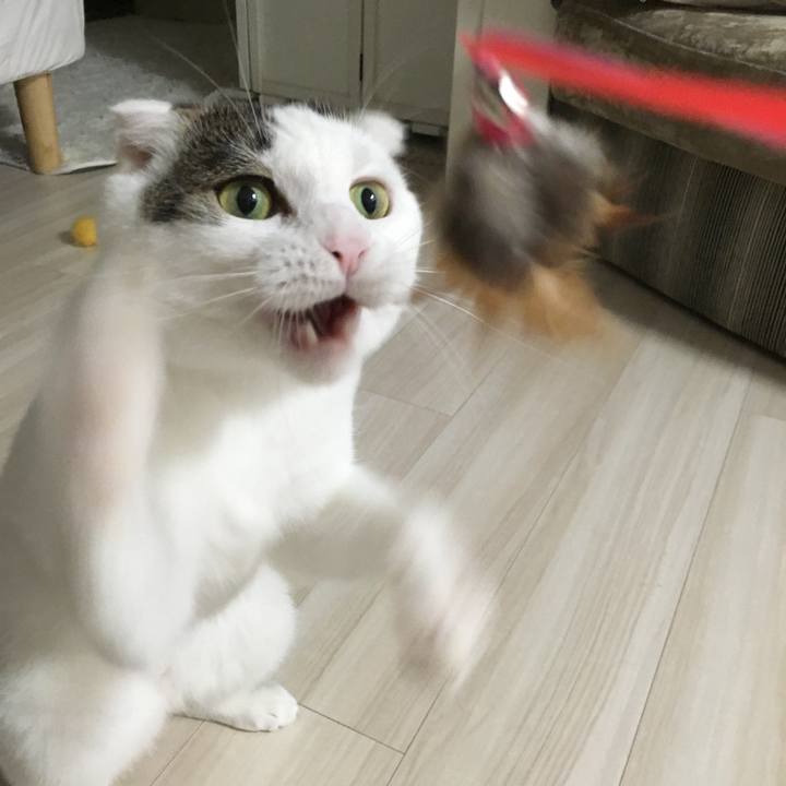 576adfc4 7d2b 4b4c 8425 fa049030d3e3