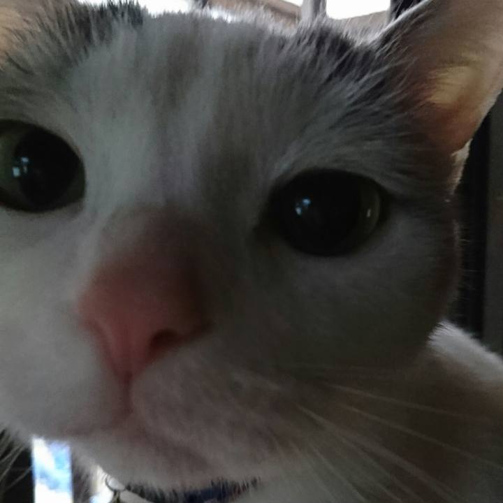 576ae62d 471d 45ed 87a7 9c12f654fec6