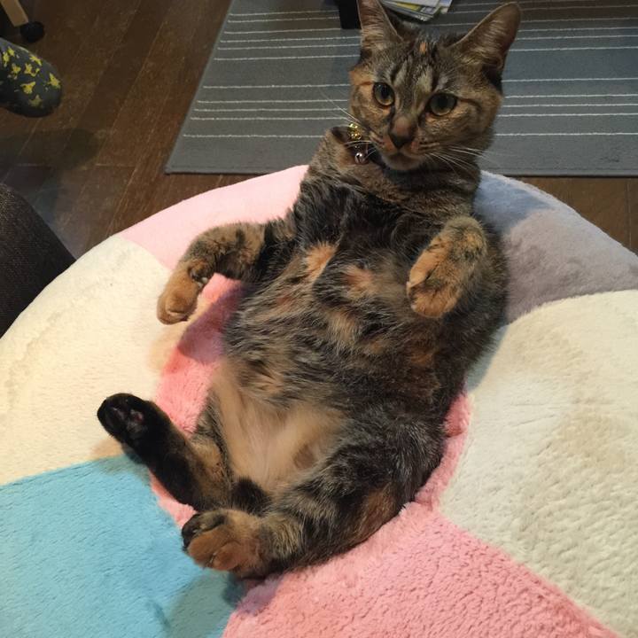 576afc34 1ad5 4500 8ed5 efefcc165e1c