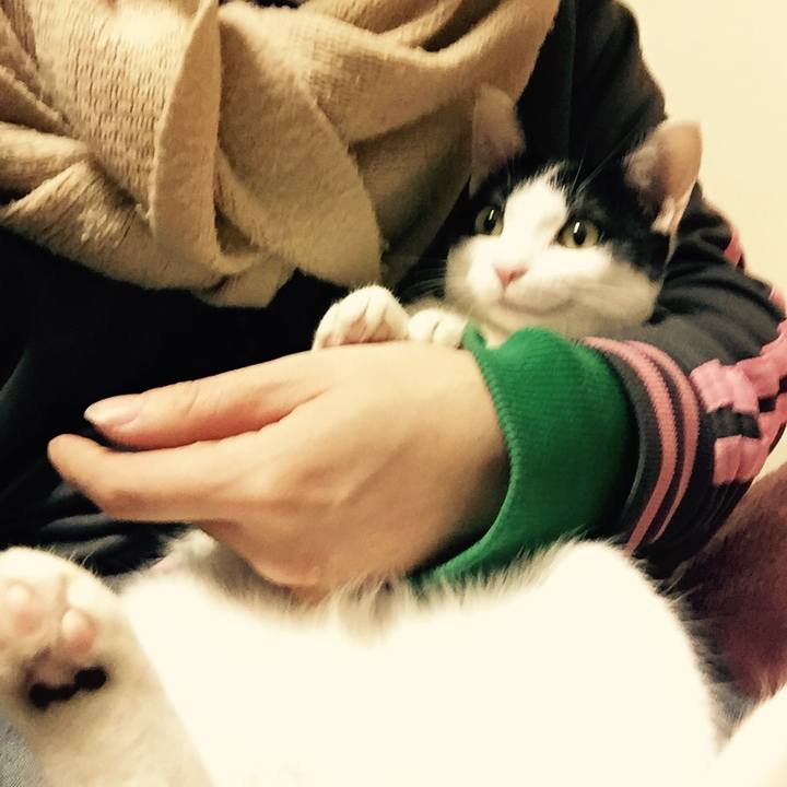 576b0d1a df9b 4750 9c52 757c10726d3f