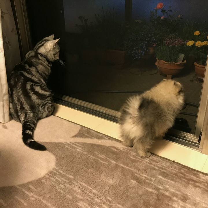 576b28b8 77d2 4988 b0c2 a072053197f6