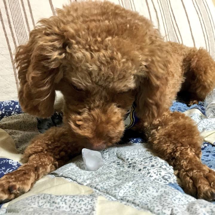 576b42a2 02f4 42ad 8bf6 5156544e67b6