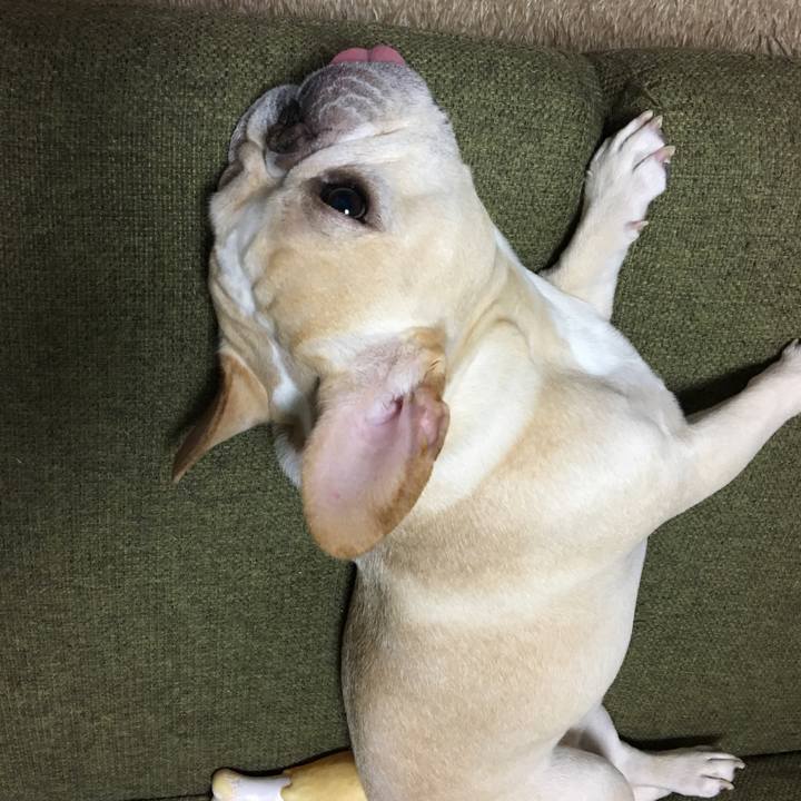 576bcd69 87b7 48a8 b71b 5a97d424ffd9