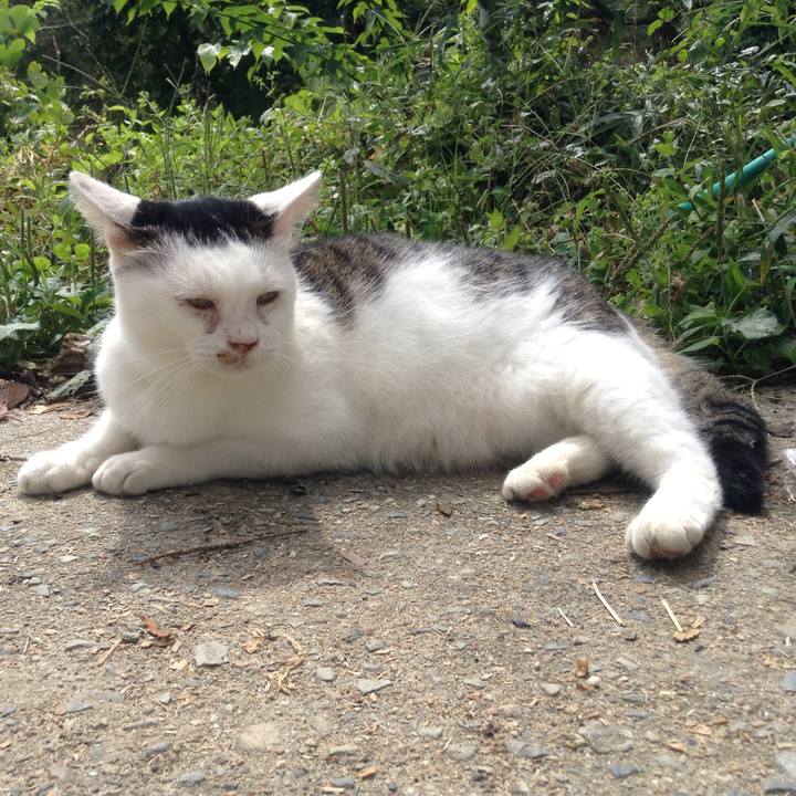 576bea11 44ad 42db bd6c f118da1a7b15