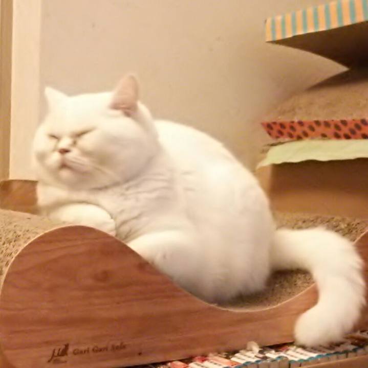 576d06b4 0203 4bb2 8b79 6a986d950abf