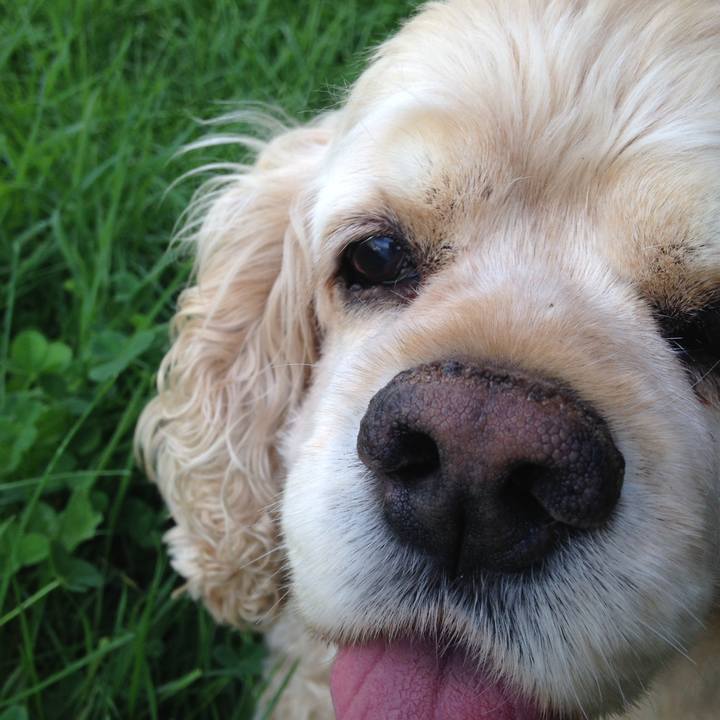 576d5b94 b929 4919 96dc d342461b2776