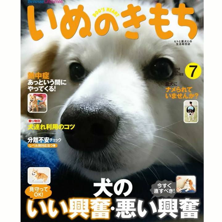 576dab8f 58ad 4668 b1cf 20895f4cb5b0