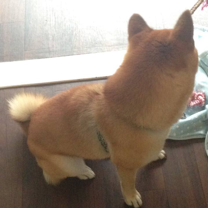 576e5f33 d7f3 4a0b b938 ee3f98599d40