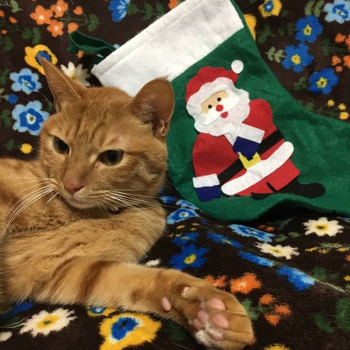 576f16c5 2aa5 40d6 8761 31ca4009608e