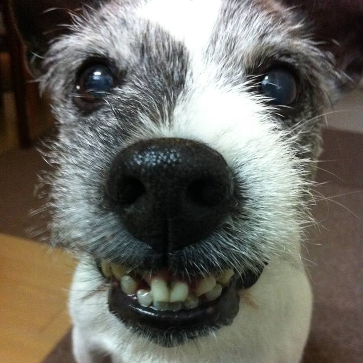 576fa8a5 6bc3 4dad a7e6 15a0b2c6b1f4