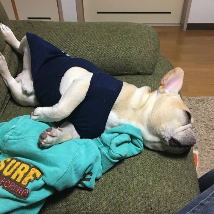 57703dae abb5 4175 8fab f0c3781867ad