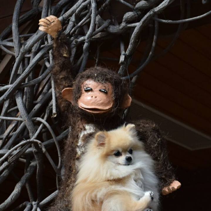 5770d221 df9f 404a 9deb 82bd8f5eb5f2