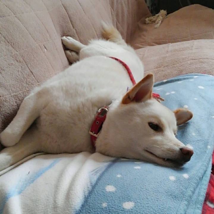 57710406 1712 4f7e 9a63 db1f6be76c1d