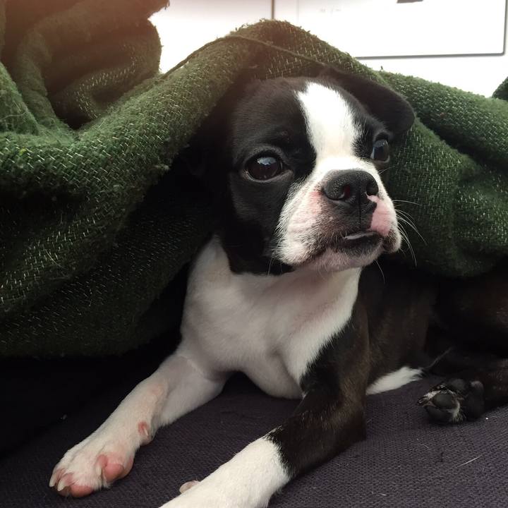 5771e12f a9b6 4830 8048 916e8f323754