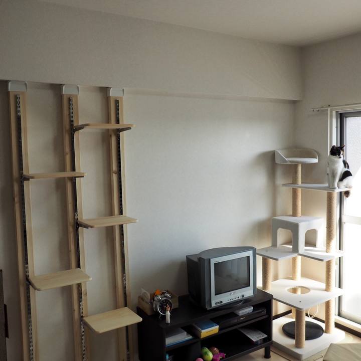 5772548b eeb1 4664 ad3e 26f312ae54f0