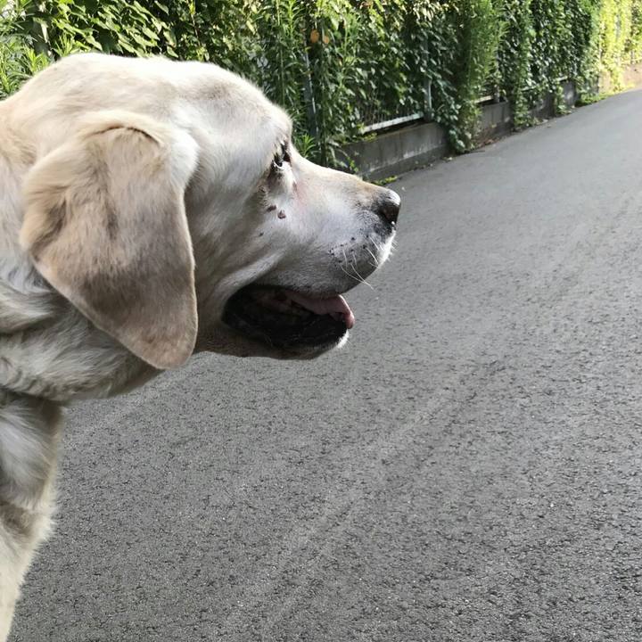 5774a953 ced3 4c96 8f96 7a93913d9c4c