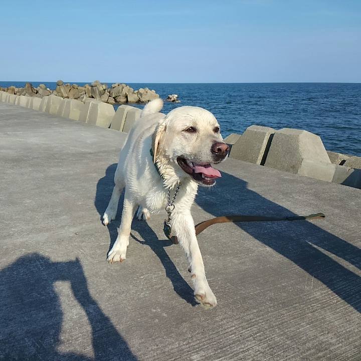 5774c813 9f69 457c 81b4 4e9793f3f51d