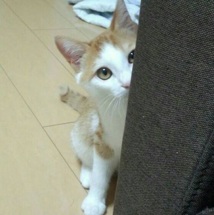 5774c885 89a7 4532 ae9e 6dea90a3aa05