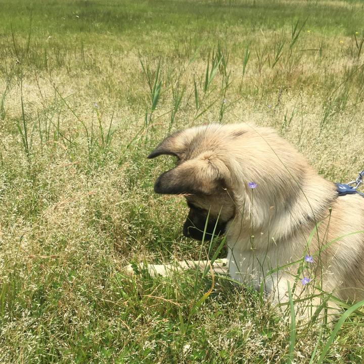 5774cc9e bbeb 4e44 9af4 8c4cb3fed8a4