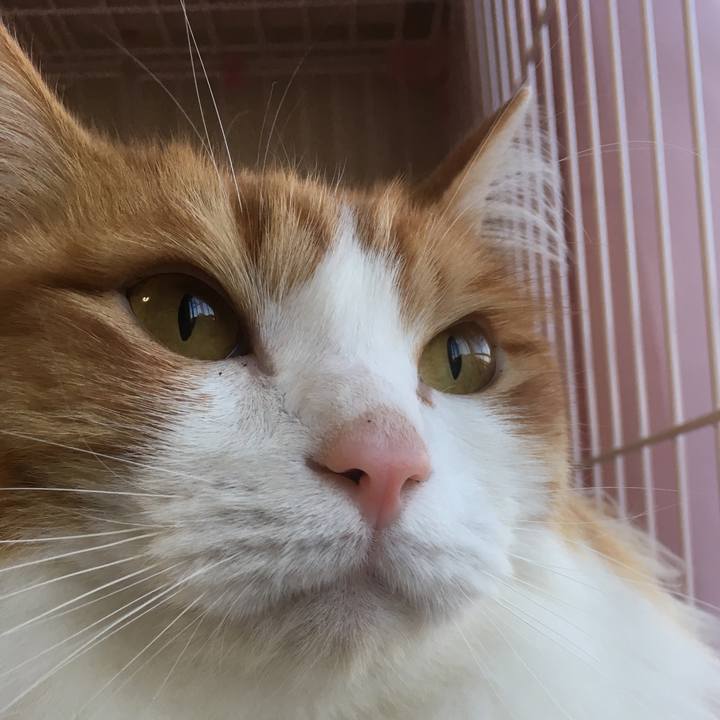 5774ee89 fff8 4c7c 9e98 e0a5eb2261cd