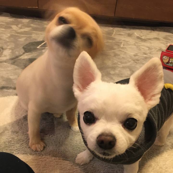 57751b51 79d8 477d 9d19 48ebe90336b6