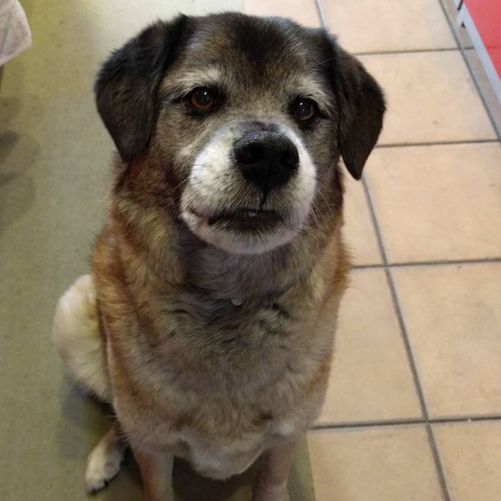 5775383d fb08 45a9 b118 75364367fd2e