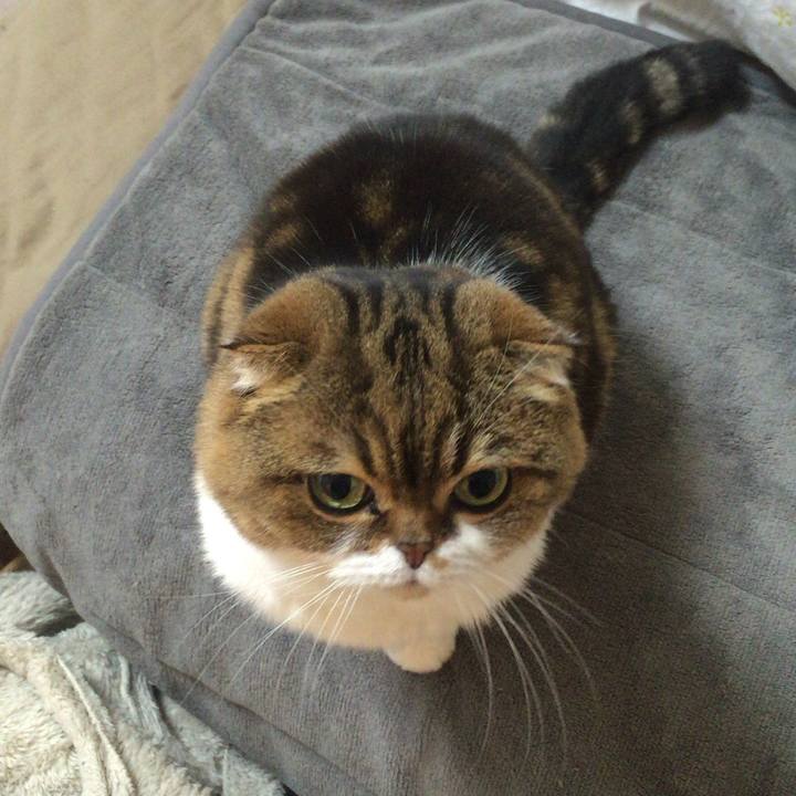 5775bb26 e1b3 44c7 acea f9134f760014