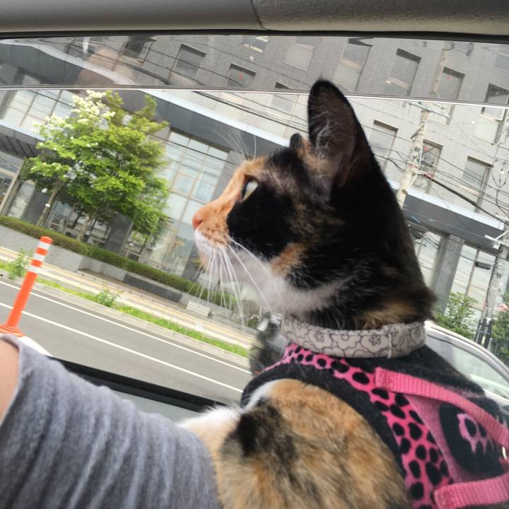 5775e002 1947 4834 bb97 24cfe65aa1f7