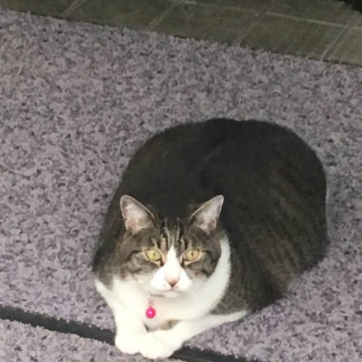 5775e81d 84c2 4a9e 90e6 02023c1f935d