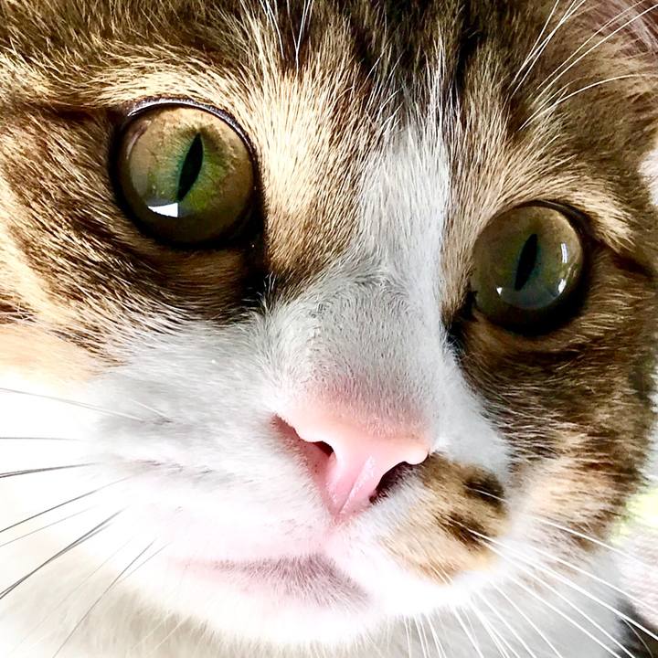 5775ea40 7b43 49e8 9eb8 846ac911577f