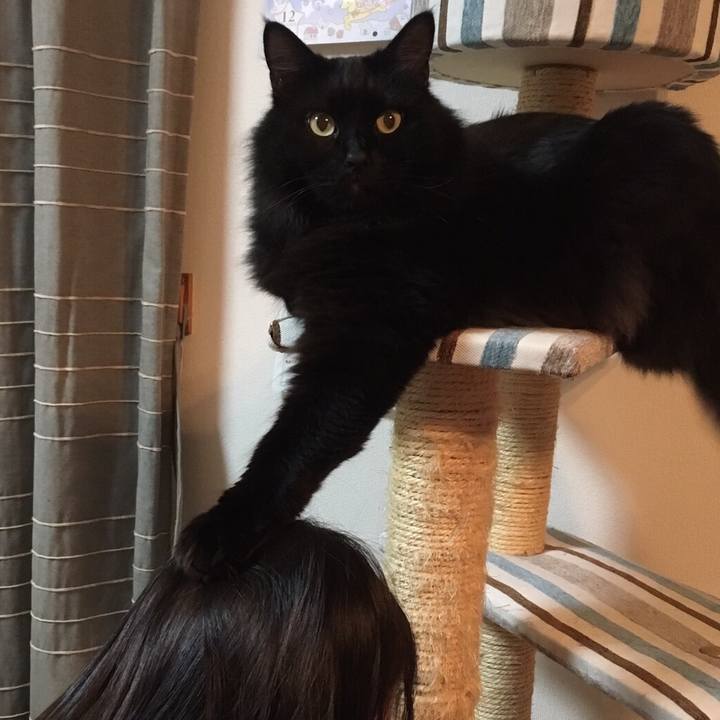 57762995 66aa 4577 8f0e 3fffe32c5b23